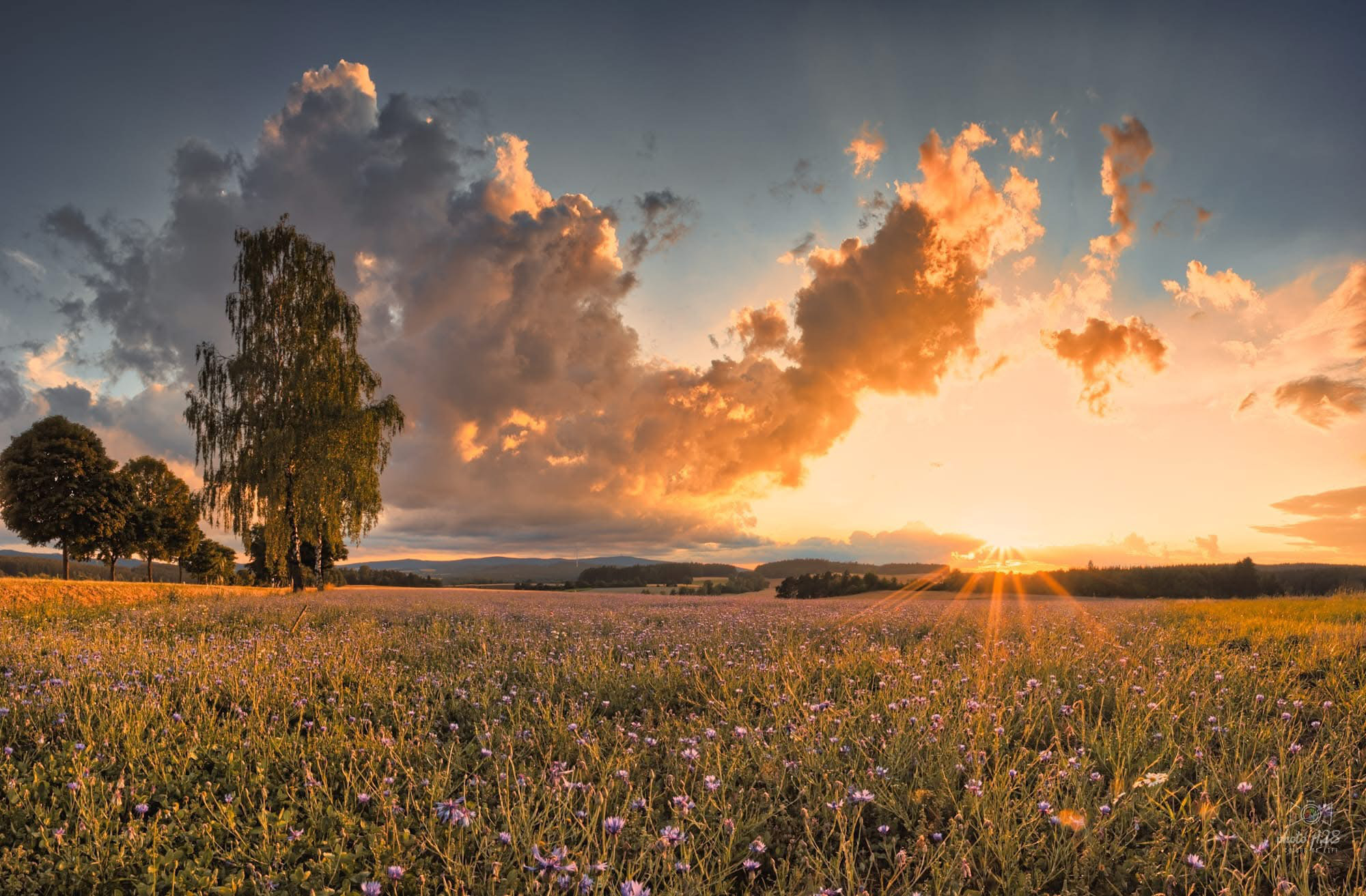 Zahnarzt Arzberg – Schöne Landschaft