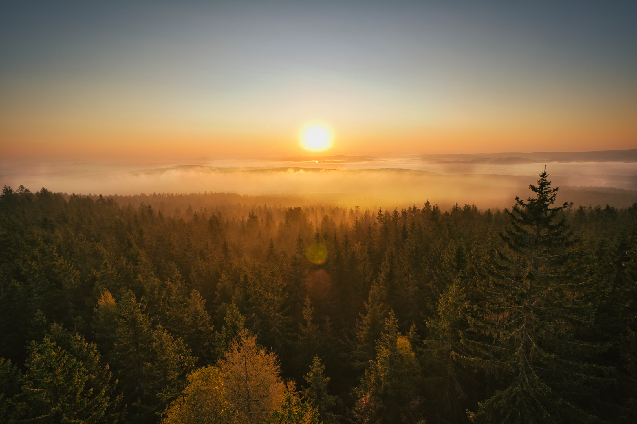 Zahnwelt Fichtelgebirge – Waldlandschaft bei Sonnenuntergang