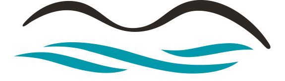 Welle Welle Logo